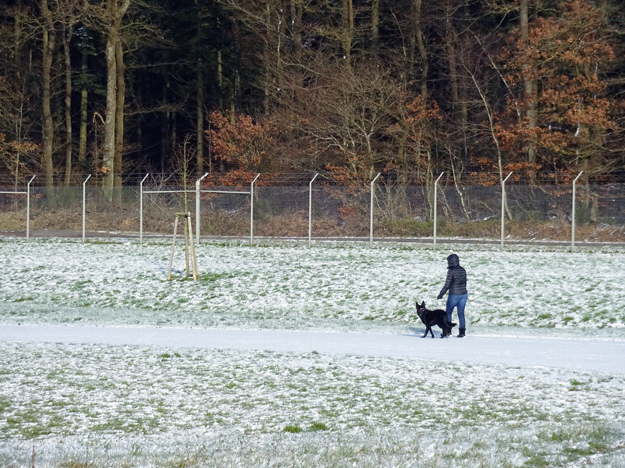 Photograph of distant woman and dog on snowy track with forest background taken by Sony WX220.